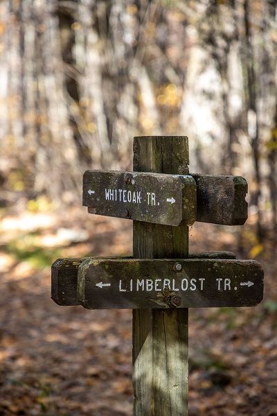 Looney, Hollice 아티스트의 USA-Virginia-Shenandoah National Park-Wooden trail marker for the White Oak Trail and Limberlost Tr작품입니다.
